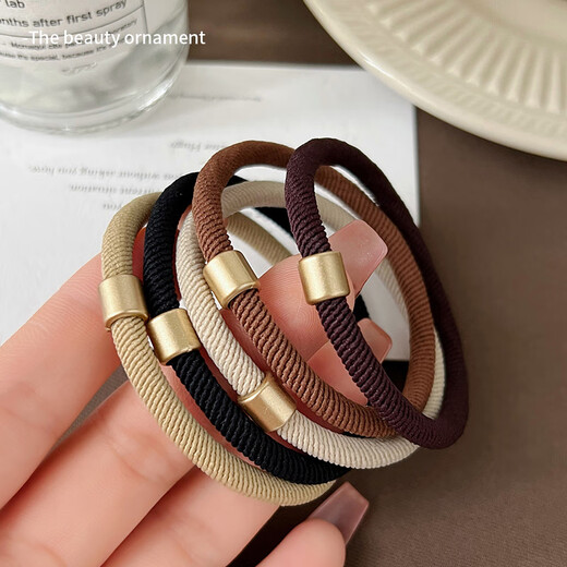 Danqin high ponytail hair rope for girls 2025 new style rubber band to tie hair, high elasticity and durable hair ring, adult hair rope leather case, old money style hair rope (10 mixed colors)