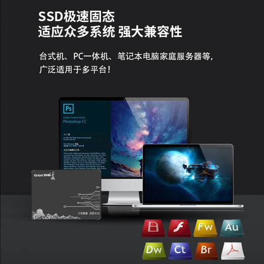 长城（Great Wall） 480GB SSD固态硬盘 SATA3.0接口 读速520MB/S台式机/笔记本通用 GW520系列