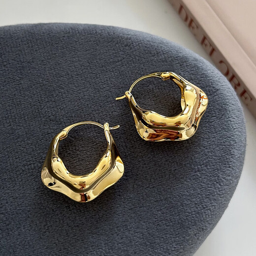 Yican Japanese and Korean metal retro earrings for women light luxury niche design high-end earrings 2025 new hot style temperament earrings Japanese and Korean metal retro earrings