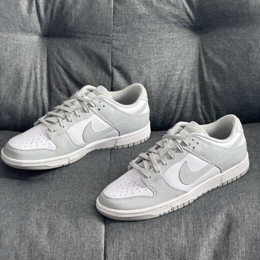 耐克（NIKE）Dunk Low Retro 男子白灰运动鞋复古板鞋 DD1391-103 灰白 43