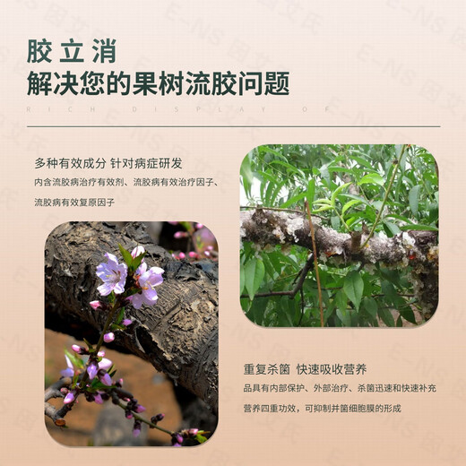 Because Aldrich's glue is specially used for fruit trees to solve the problem of gum flow, decay, rot and perforation of fruit trees, spray it with microbial water-soluble fertilizer 200g*1 bottle