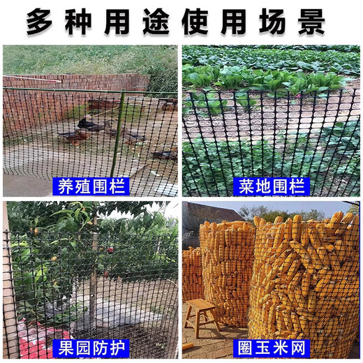 Danau Meng Plastic Grid Farm Net Fish Pond Protection Anneau Corn Poulet Net Net Isolation Isolation Fence Garden Vegetable Guardian Net 1,2 mètres de haut + 3 cm Trou + Tie 4,8 mm d'épaisseur (50 mètres / rouleau) 1517