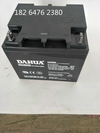 纪俪田适用于蓄电池DHB12210 12V21AH消防通讯UPS 电源监控门禁 照明