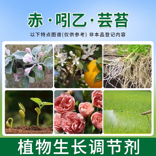 Bihu Germany imported Bihu Red Indo-B Brassica flowers, vegetables and fruit trees antidote to plant growth regulator Red Indo-B Brassica 50g*1 bottle