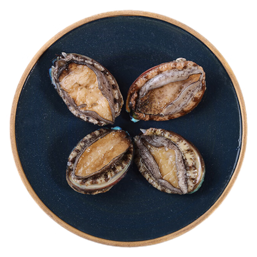 Twisted Abalone 1 fresh medium-sized abalone (14-16 heads/500g)