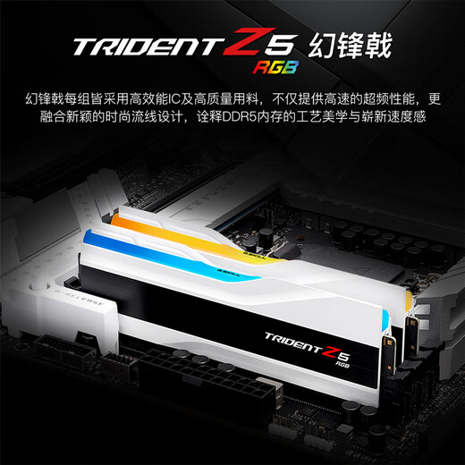 G.SKILL芝奇（G.SKILL）32GB(16Gx2) DDR5 6400 台式机内存条-幻锋戟RGB灯条(皓雪白)/Intel XMP/C32