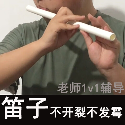 贤怀达笛子仿玉横吹短笛水管ppr竹笛白色树脂民族乐器E调入门F初学者6孔 E调纯白色笛子+全程辅导