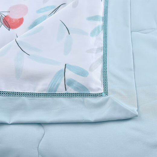 杉杉FIRS杉杉（FIRS) 臻丝缎蚕丝被-芳华 200x230cm QFS-12128夏凉被礼批
