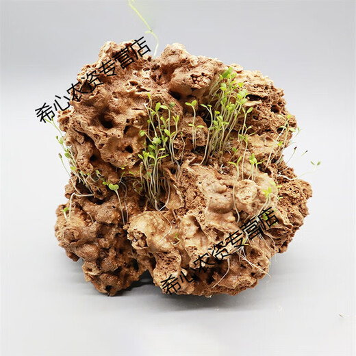 OIMG absorbent stone landscape absorbent stone rockery bonsai natural landscaping raw stone rockery stone courtyard rockery natural raw stone 15-19CM absorbent stone (pot not included)