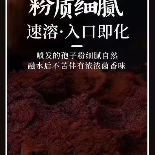 Eryabeigong Fang a recommandé la tête de poudre Zhispore Jilin autoproduit et vendu tête 1 bouteille 250 grammes