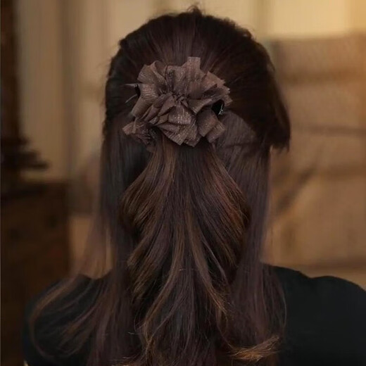 Zhuo Keke Bow Hair Clip Women's 2025 New Temperament and High-end Ponytail Clip Back of the Head Ball Hair Clip Coffee Color Seersucker
