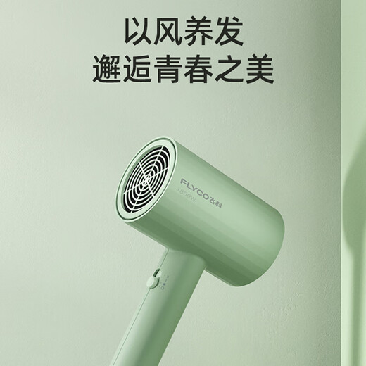 
Feike hair dryer straight-bar internet celebrity hair dryer household constant temperature quick-drying hair care high power hot and cold air new model FH6296 FH6296 plus punch-free wall mount
