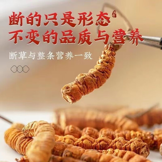 Cordyceps Cordyceps Genuine Cordyceps Cordyceps Cordyceps Cordyceps Cordyceps Cordyceps Cordyceps Cordyceps Cordyceps Cordyceps Cordyceps Cordyceps Cordyceps Cordyceps Cordyceps Cordyceps Cordyceps Cordyceps Cordyceps Cordyceps Cordyceps Cordyceps Cordyceps Cordyceps Cordyceps Cordyceps Cordyceps Cordyceps Cordyceps Cordyceps Cordyceps Cordyceps Cordyceps Cordyceps Cordyceps Cordyceps Cordyceps Cordyceps Cordyceps