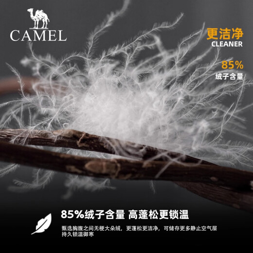 骆驼（CAMEL）黑钻系列短款羽绒服女装冬新款保暖防风连帽羽绒外套面包服 724CA6B601，幻影黑，女 L (180)