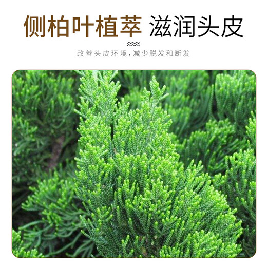 芃芃草官方旗舰店缕漾防脱固发育发洗发露棕色款改善头痒毛躁养发洗发露 300g*3袋