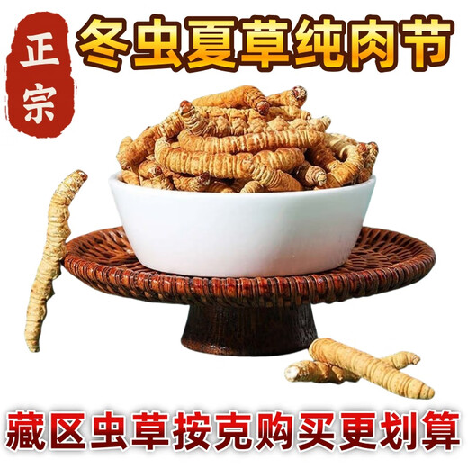 [Cordyceps authentiques] GRAND GRASSE BROCKE
