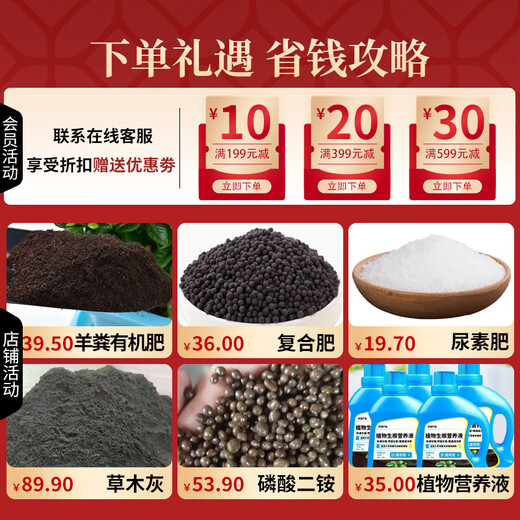 Ferrous sulfate fertilizer from the United States and abroad. General fertilizer for regulating soil pH and rooting. 2 bottles of ferrous sulfate + 1 bottle of potassium dihydrogen phosphate.