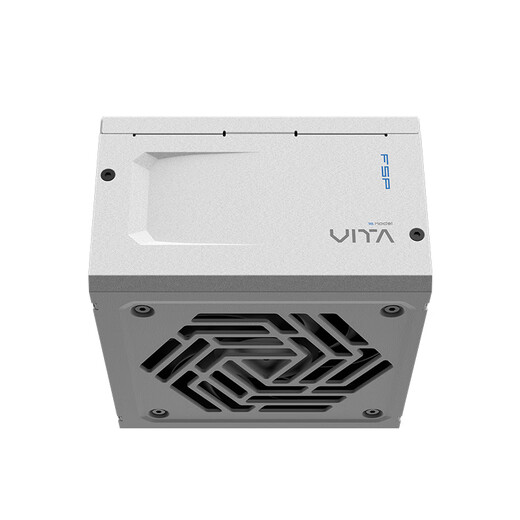 FSP VITA GM 850W Snow Edition Platinum Full Modular Power Supply (ATX3.1/PCle 5.1 12V-2x6 interface/105 Japanese capacitor/fully embossed cable)
