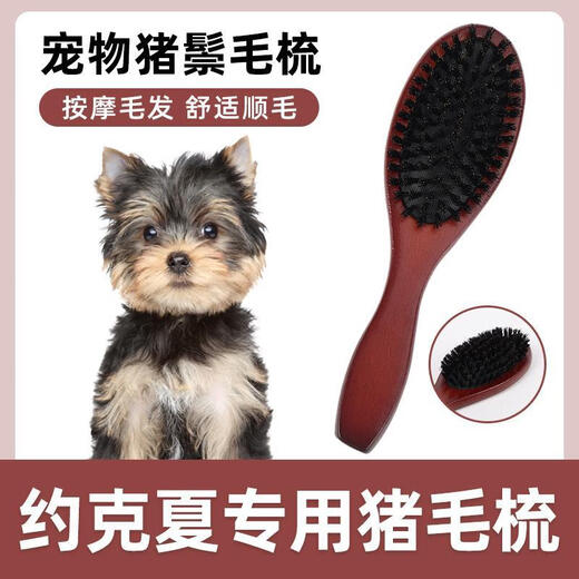 Huameilong Yorkshire special pig bristle brush pet dog comb to remove floating hair, fluffy hair removal, knot-opening brush bristle cleaner, pig bristle comb to clean floating hair/massage smooth hair