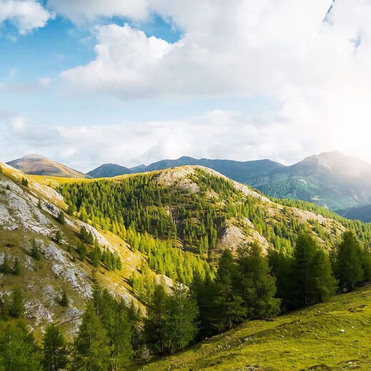 Garkoko Little Moon Teething Stick for Baby Teething Stick to Prevent Eating during Teething Period Crescent Moon Soft