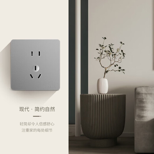 德力西（DELIXI）开关插座面板 CD821系列 10A斜五孔插座 星辉银大板