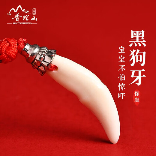 Wenchu Putuoshan Baby Anti-frightening Pin Newborn Baby Going Out to Suppress Shocked Pregnant Women Brooch Mahogany Sword Black Dog Tooth Pendant Recommended for Sleeping (Style 1)