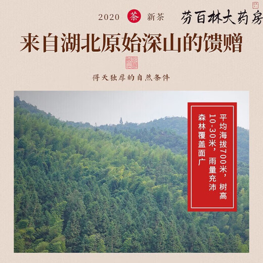 [Vendido directamente en la farmacia] Renhe Pharmaceutical Renhe Qingqianliu Té No Wild tierna Bobina Té de té de té Presión baja en grasa baja azúcar La presión arterial alta se puede usar para dar regalos para el burdo, calamar de maíz, té de hoja de mora tres cajas de ciclos de ciclos paquete
