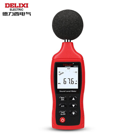 Delixi Electric decibel meter household high-precision noise tester volume detector A/C double weighted D1