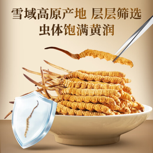 同仁堂品牌冬虫夏草5根/g3g15根虫草端午节礼盒滋补品送长辈北京同仁堂
