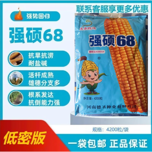 New species in stock, nationally approved original Qiangshuo 68 corn seeds, high-yield corn seeds, drought-resistant pioneer, high-yielding, drought-resistant, not bald. New species in stock, original nationally approved Qiangshuo 68 4200 grains 1 bag
