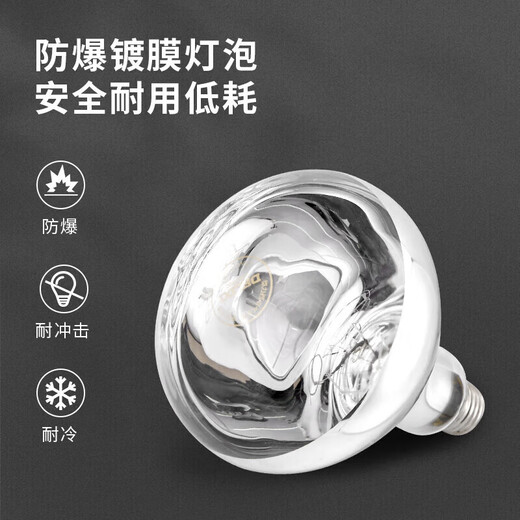 Delixi (DELIXI) wall-mounted lamp warmer and bathroom heater, instant heating, portable installation, independent temperature control, two-lamp heater for bathroom