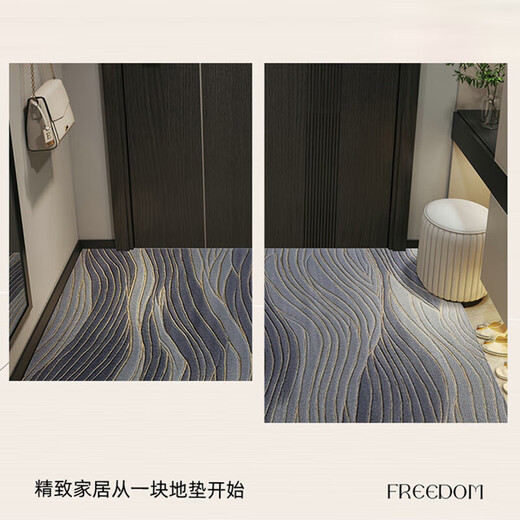 阿扎尔 HAZARD入户门地垫【法尔曼绒】感进门门口脚垫防滑耐脏免洗垫子玄关 全季-15269 100CM*100CM