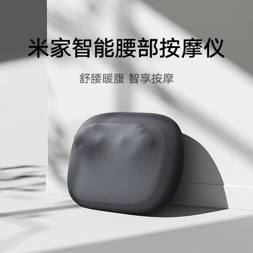 Mijia Xiaomi Smart Waist Massager Massager Cushion Shoulder Leg Back Cervical Massage Instrument Kneading Hot Compress Portable Mijia Smart Waist Massager