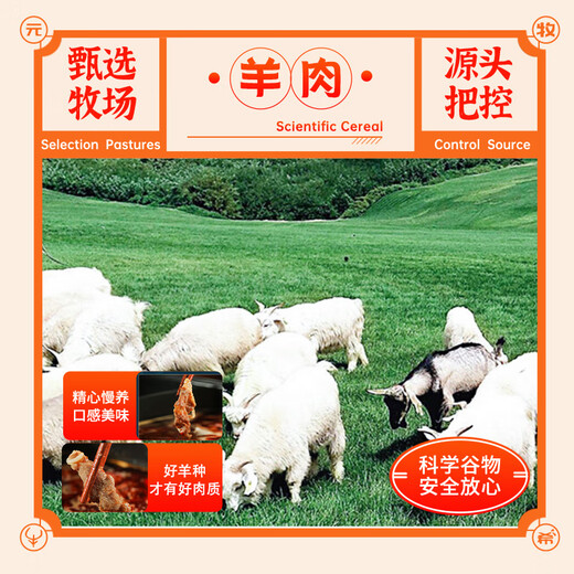 Yuan Muxi thick-cut lamb rolls 1Jin Jin is equal to 0.5 kg hot pot ingredients cut fat beef and mutton rolls shabu-shabu mutton slices barbecue domestic fresh