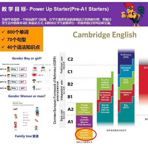 剑桥国际少儿英语  Power up 1级别 主课本+练习册+词汇练习册（剑桥大学出版社） 剑桥官方考试教材 YLE考级教材 英文原版进口 儿童英语学习