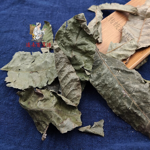Mein Yutang Qingqian Liu Yunnan Chinesische Kräutermedizin 500G G Gold Willow Geld verlässt Qingqian Liu Originalblätter machen ohne Schwefel Tee. Natürlicher alter Baum Originalblätter ohne Extraktion 250g