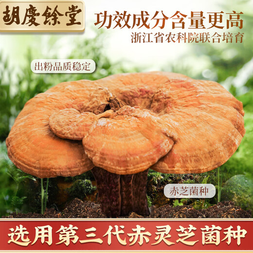 胡庆余堂破壁灵芝孢子粉胶囊0.35g*60粒保健品增强免疫力送礼长辈老人父母