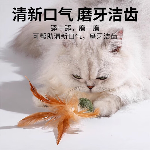 Cat Toy Cat Mint Ball Feather Teeth Grinding Self-Enjoyment Relieve Boredom Cat Grass Slice Ball Funny Cat Stick Cat Hair Loss Cat Special Pet Feather Toy - Mint Ball - 1