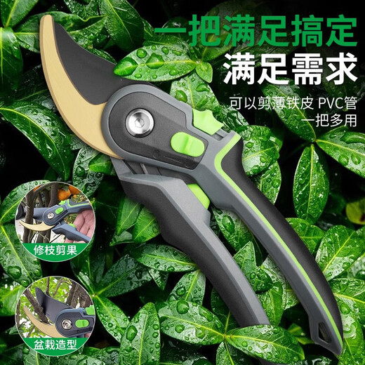 米聆修枝剪园艺剪刀剪树枝专用剪刀园林修剪果树修枝花艺修花剪A 旗舰款修枝剪【银武士】