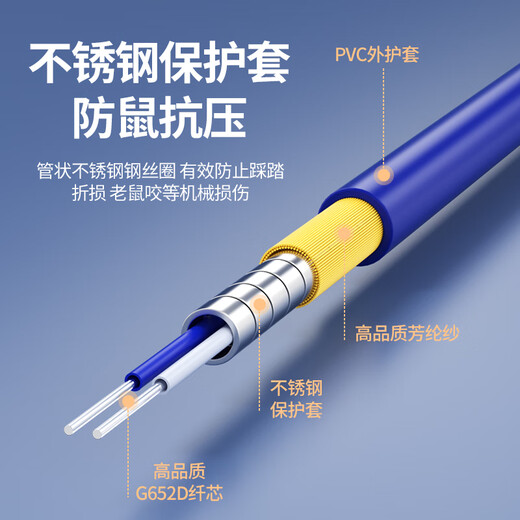 Nokoxin-Telekommunikationsqualität gepanzerte Single-Mode-Single-Core-Glasfaserfaser-Jumper SC-SC Engineering Special Tail Fibre Extension Cable Anti-RAT-Bissflammes-Reparatur-Panzer-Single-Mode-Single-Core-SC-FC 1 Meter