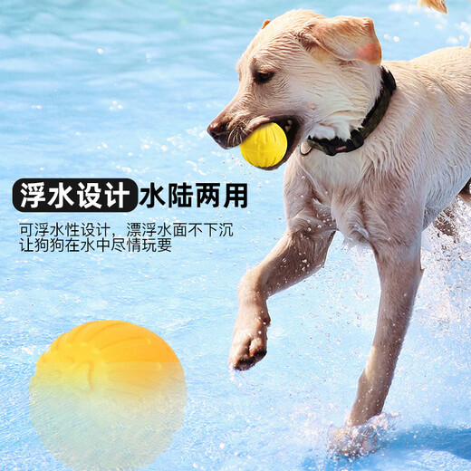 Hanhan Paradise Pet Dog Toy Bouncy Ball Bite-Resistant Dog Training Artifact Large, Medium and Small Border Collie Teddy Can't Bite Puppy Toy