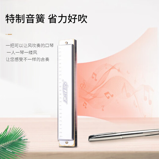 东方鼎Easttop超轻复音口琴T2401S初学推荐C调专业教学入门学生用 24孔C调银色