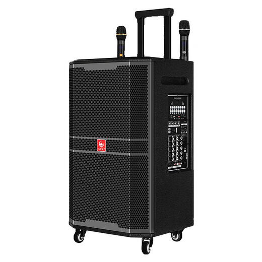 Shanshuiren family ultra-high-power heavy bass outdoor square dance trolley speaker multimedia conference karaoke home Bluetooth portable mobile speaker audio subwoofer ultra-high-power heavy bass flagship version + full 15.6-inch karaoke machine 15-inch model 1593