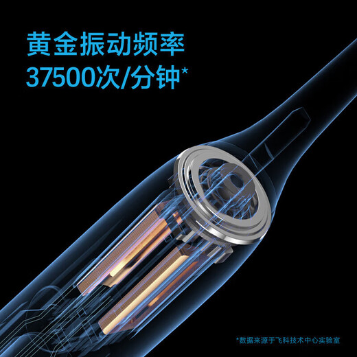 FLYCO Adult Electric Toothbrush Symphony Series Couple Model Intelligent Sonic Vibration Deep Cleaning Gum Protection Soft Brush Brush for Boy and Girl Birthday Chinese Valentine's Day Gift FT7105 FT7105 Deep Sea Blue Belt 4 Brush Heads