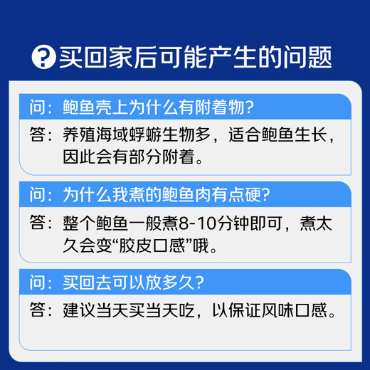 Twisted Abalone 1 fresh medium-sized abalone (14-16 heads/500g)