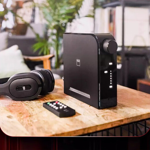 NAD D3020 V2 High-Fidelity-Fieber HiFI-Verstärker 2.0-Kanal mit DAC Digital Decoding Integriertes Bluetooth APTX Kombinierter Stereoverstärker D3020 V2 (schwarz)