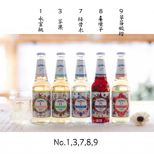TEMPT现货 丹麦tempt诱惑7号9号七号接骨木西打酒 果味啤酒 foxy小酒馆 13789 送杯+开瓶器 5瓶 礼盒装