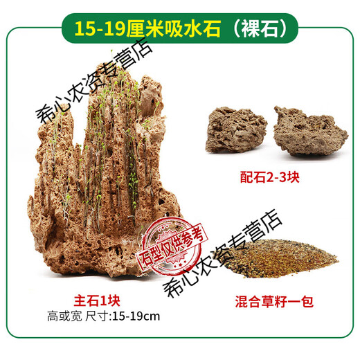OIMG absorbent stone landscape absorbent stone rockery bonsai natural landscaping raw stone rockery stone courtyard rockery natural raw stone 15-19CM absorbent stone (pot not included)