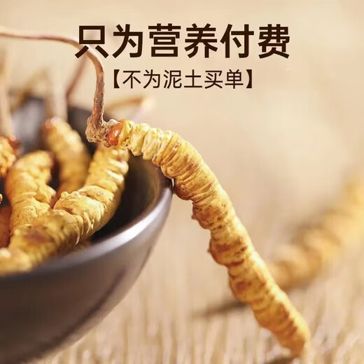 Cordyceps sinensis, 2 1 gram 10 gift boxes for large Cordyceps sinensis dry goods and gifts, 10 pieces [2 1 gram 5 grams]