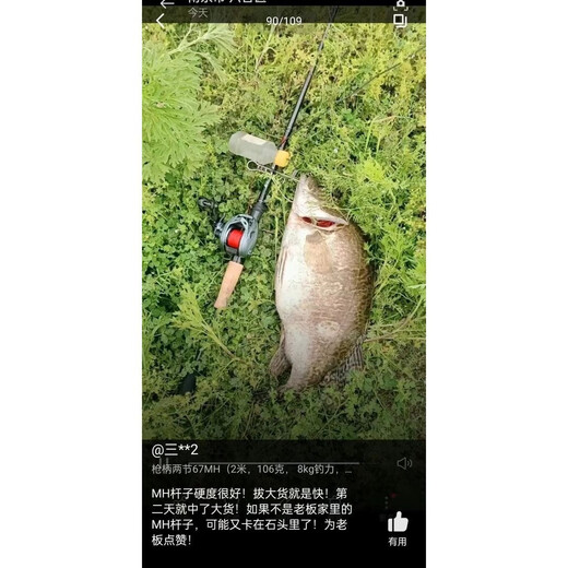 路亚迷buguilure不鳜路亚竿25款马槊竞技超快调性GT鳜鱼黑坑鲈鱼翘嘴 25款 马槊竞技/ 枪柄 C672M
